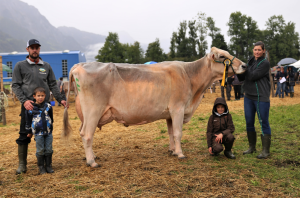 mention honorable bs